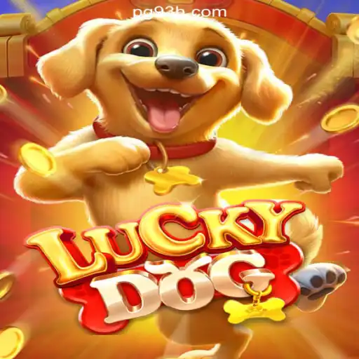 93H.com platform-online Slots Brasil #1 Casino App
